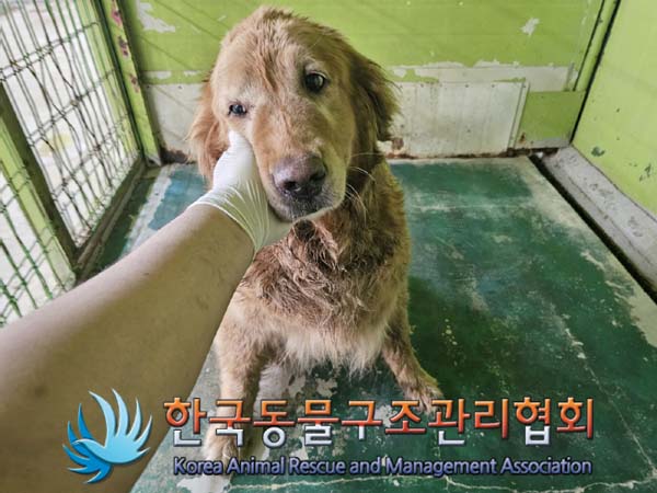 한국동물구조관리협회_441559202400750